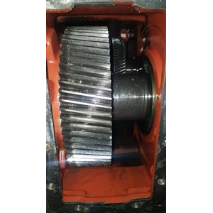 Helical Gear Stainless 1 Set