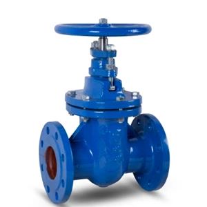 Metal Seated Oval Body Gate Valve in Cast Iron Inside Screw (PN 10 & 16)
