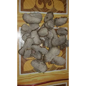 Umbi Umbian Porang