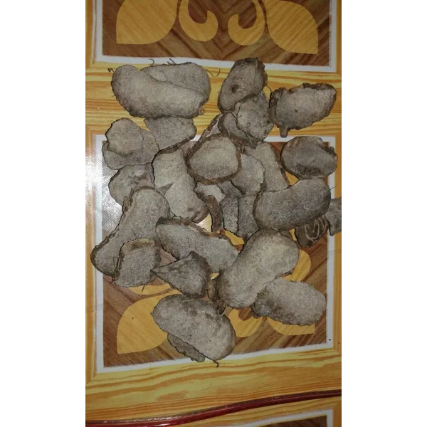 Umbi Umbian Porang