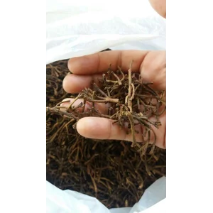 Buah Kering Gagang Cengkeh