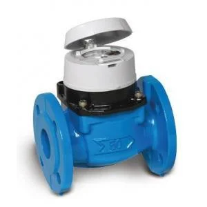 ITRON WOLTEX COLD FLOW METER 2 INCH DN50