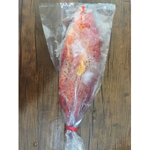 ikan kerapu merah frozen