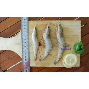 Udang Putih WR RUM 500 Gram