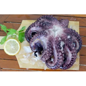 Gurita Whole Cooked RUM 1Kg / Hidangan Laut