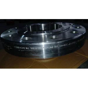 Flange Weld Neck Flange RF ANSI #600  Sch 40 SS304L GALPERTI