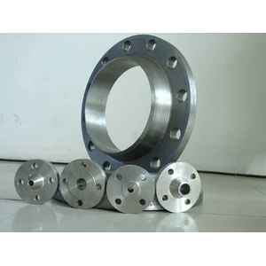 Stainless Steel 304 Weld Neck Flange Weld Neck Flange SS304 Socket Weld Flange