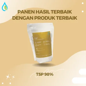 Trisodium Phosphate (TSP) TSP Murni 98% - 1kg Bubuk Anorganik