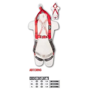 Full Body Harness Protecta AB11314RNG