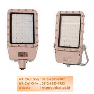 Explosion Proof LED Light Fittings EEW BZD129