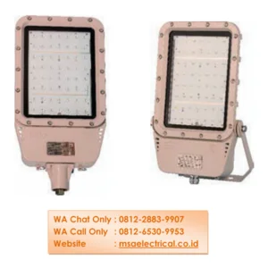Lampu PJU Explosion Proof EEW BZD129 50 Watt