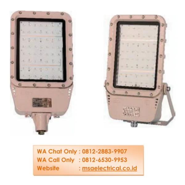 Lampu PJU Explosion Proof EEW BZD129 50 Watt