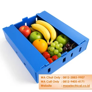 Box Packagaing Penyimpanan Buah Bahan Impraboard