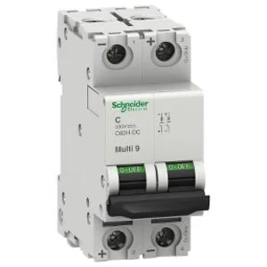 MCB Schneider A9N61528 C60H 2 pole 10A