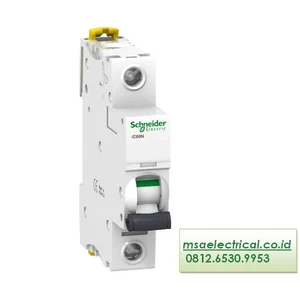 Schneider MCB IC60N A9F74101 Miniature Circuit Breaker 
