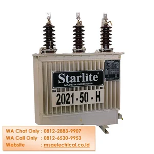 Trafo Distribusi Starlite 250 KVA 