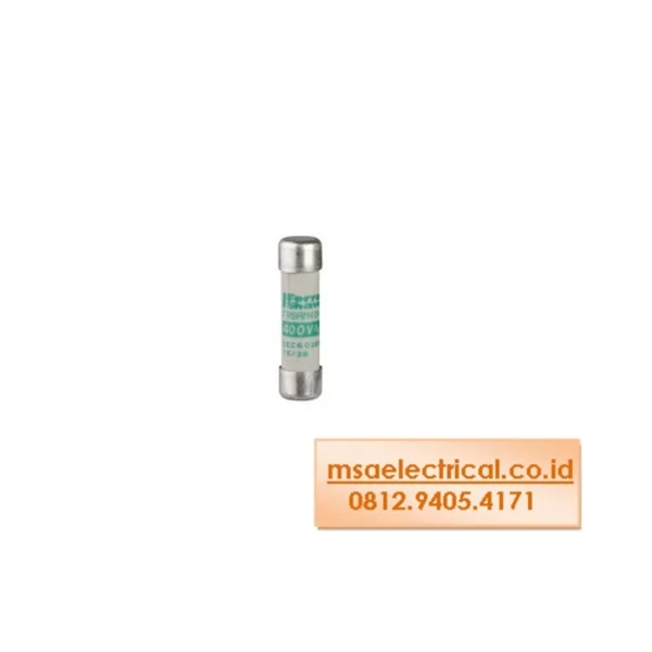 Fuse Schneider 2A Type AM Size 10.3 x 38 mm DF2CA02