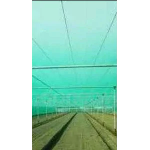 Jaring Bangunan / Safety Net - Jaring Kasa Hijau