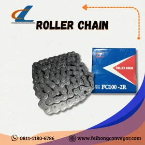 Roller Chain /  Double Strand Roller Chain FC100-2R (10 Feet)