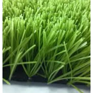 Rumput Sintetis Monofilament Buatan Untuk Futsal