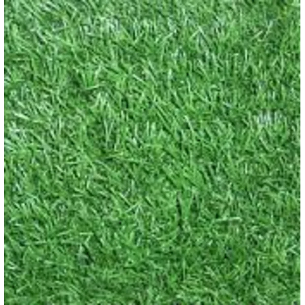 Rumput Sintetis Futsal American Diamond