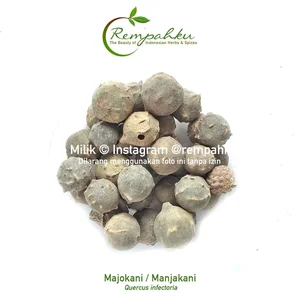 Rempahku - Biji MANJAKANI Mojokani 1kg Quercus Infectoria Majakani