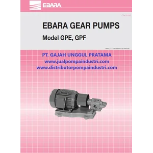 Gear Pump EBARA GPE 25