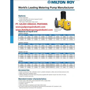 Dosing Pump LMI Milton Roy GM0240 PRAMNN