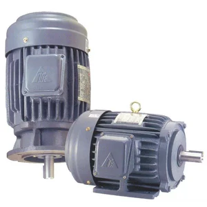 Motor elektrik TECO 