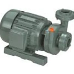 Pompa Centrifugal APP Kenji