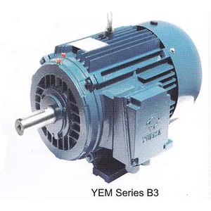 Motor Electric - Elektrik Motor YUEMA  