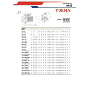  Motor Induksi YUEMA -  Electric Motor YUEMA