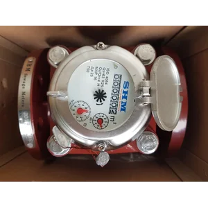 Flow Meter SHM 3" DN 80