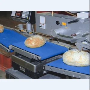 Conveyor Belt Untuk Industri Kemasan Dan Packaging