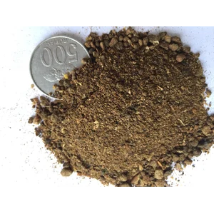Tepung Ikan Protein 50-55