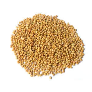 Kacangan Calopogonium Mucunoides / Cm
