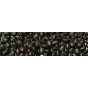 Bibit Kacangan Mucuna Bracteata ( Mb )