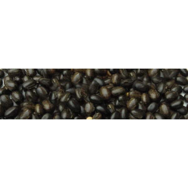 Bibit Kacangan Mucuna Bracteata ( Mb )