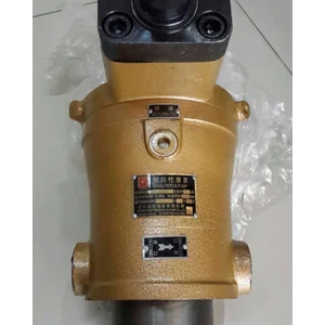 Hidrolik Pump Ycy 63