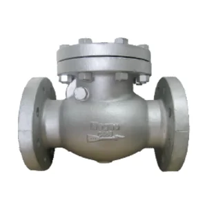 Check Valve Magno Swing Type FCS 25
