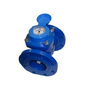 water meter amico 1