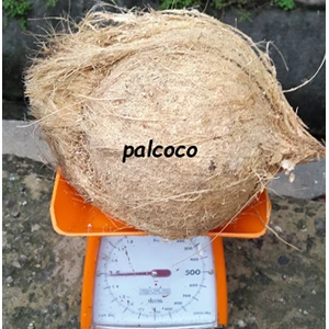 Semi Husked Mature Coconut Indonesia