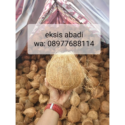 From Indonesia Coconut 0