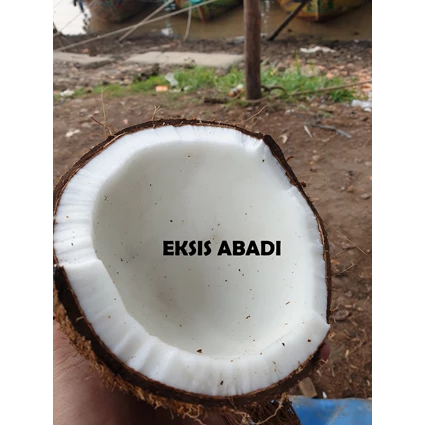 From Indonesia Coconut 1