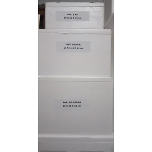 Styrofoam Box untuk penyimpan froozen