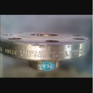 Flange Carbon Steel Sa105