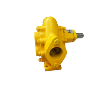 Gear Pump Maxipump 2 Inch