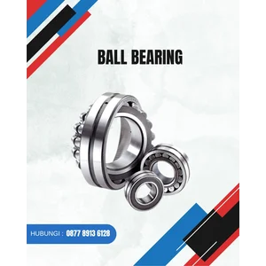 Ball Bearing PTM Series Indonesia