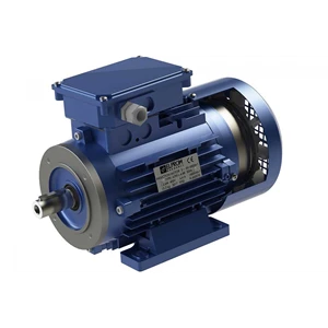 Electric Motor PTM Series 37 Kw