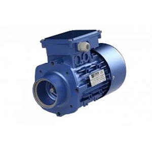 Electric Motor PTM Series 3 Kw